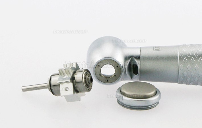 YUSENDENT® CX207-GW-TPQ turbine dentaire tête torque avec lumiere avec raccord rapide compatible W&H
